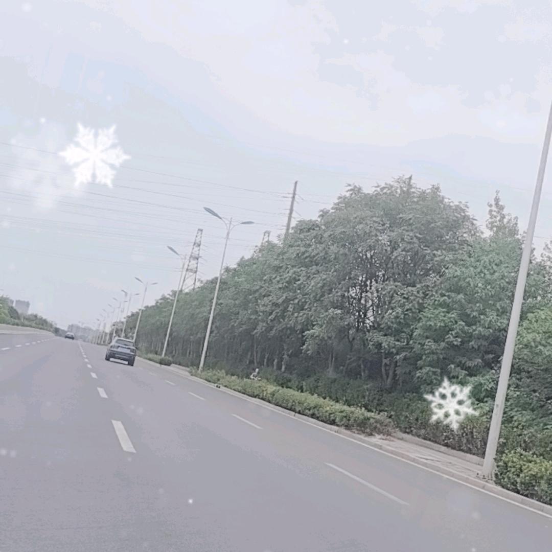 美洋洋