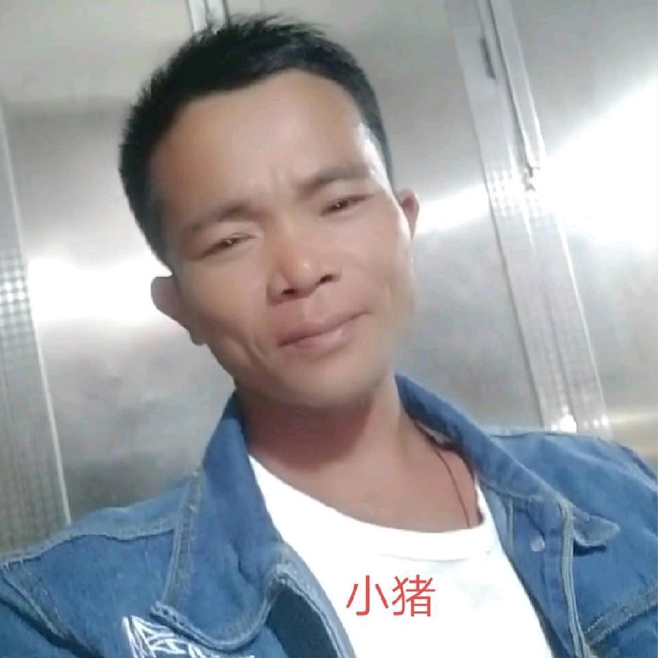 小猪