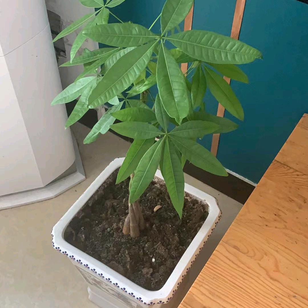 三生石