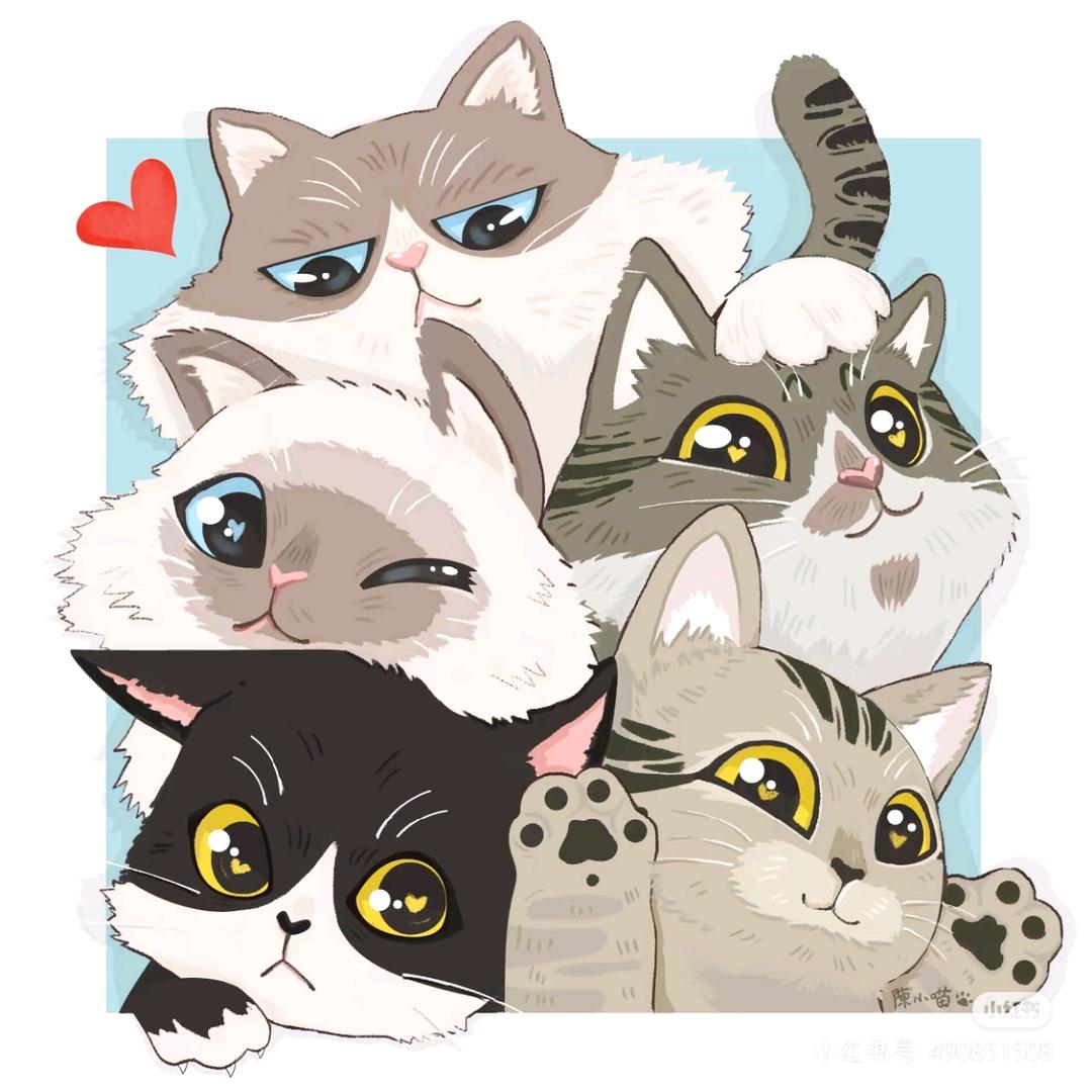 巧小熊宠物旗舰店