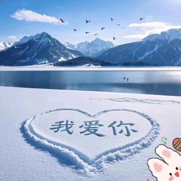 ꧁༺想你的夜༻꧂