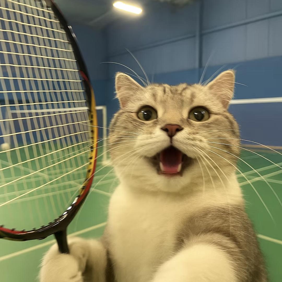 消小乐
