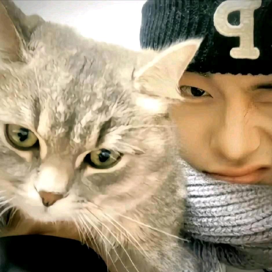 一只猫