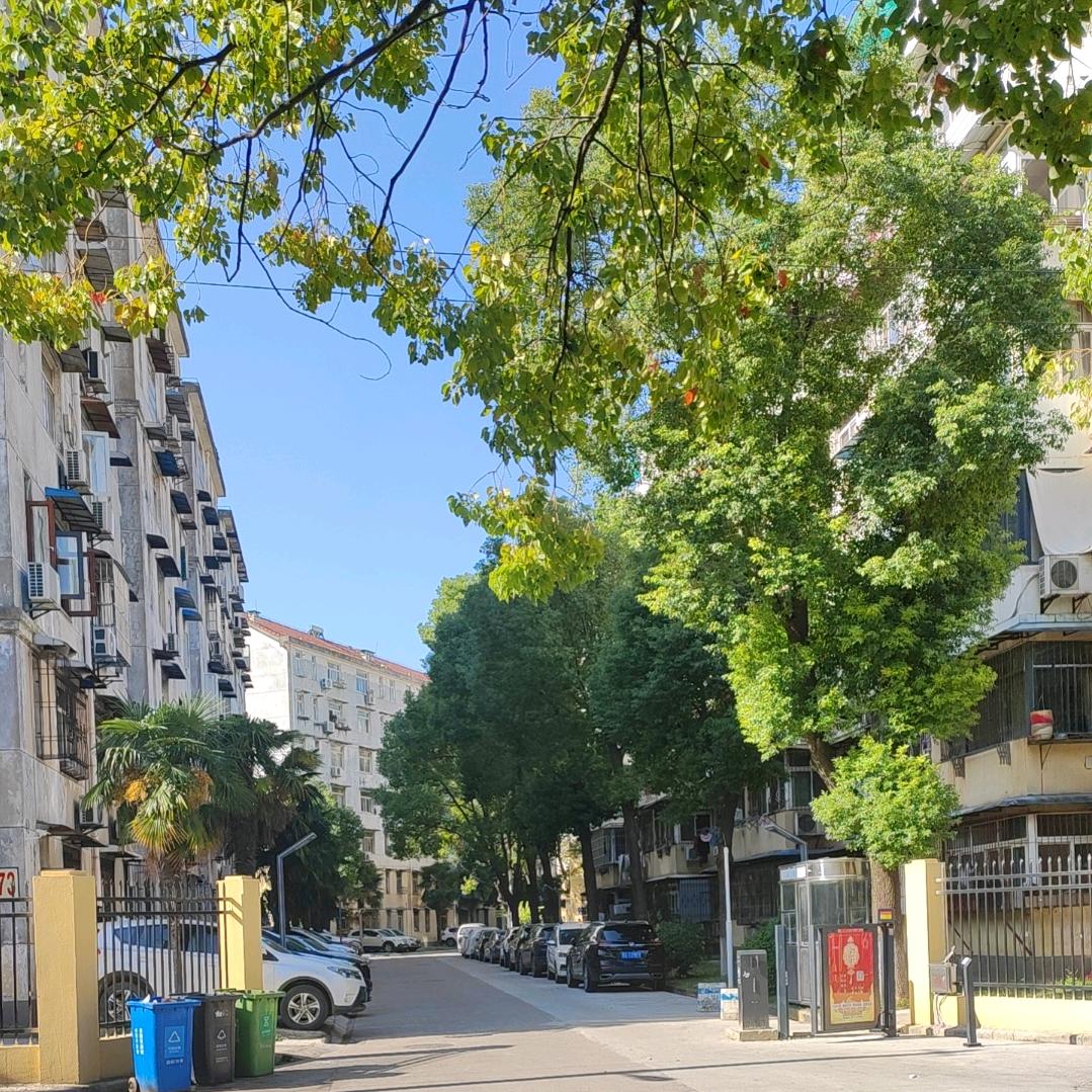 方小白【  🌺】