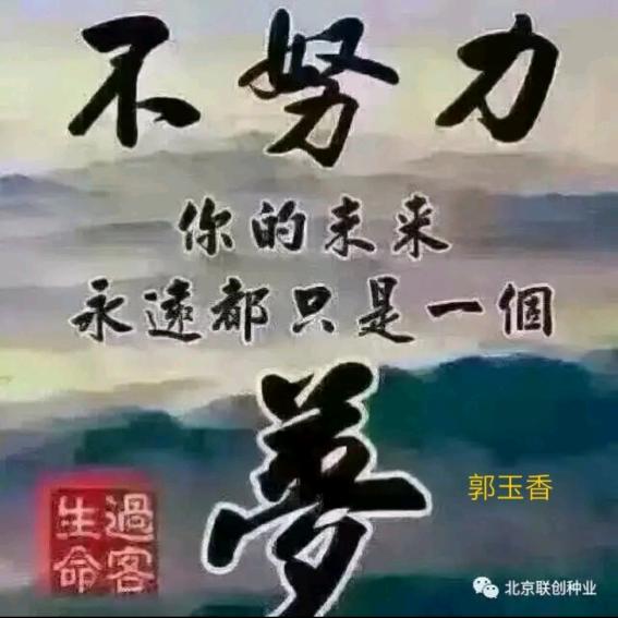做生活的强者256