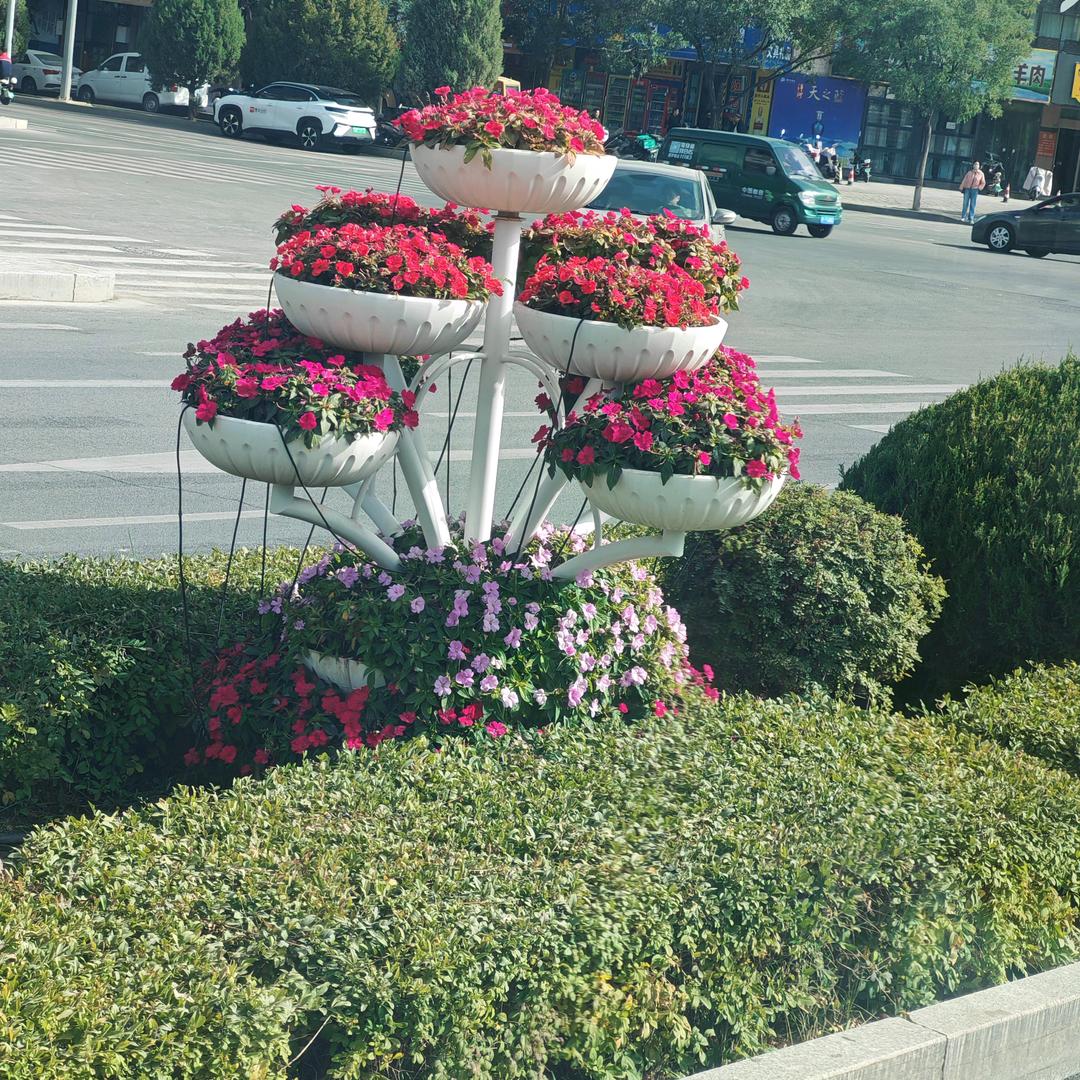 大海之音