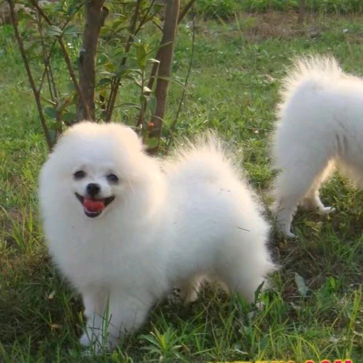 🕊᭄走向远方💞᭄🕊