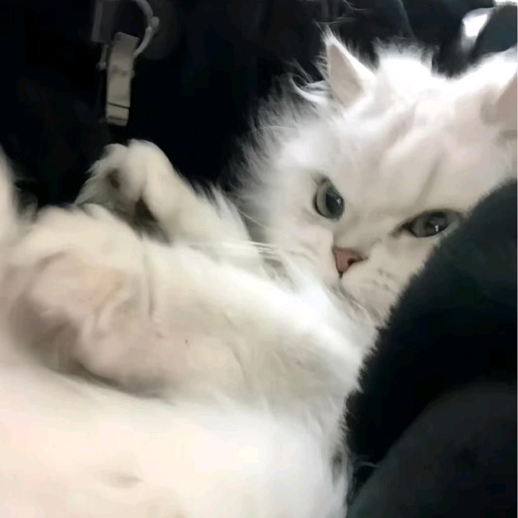 梧筠