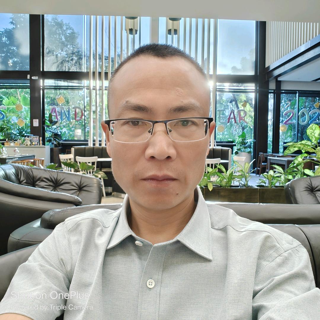 茶，一片叶子的故事