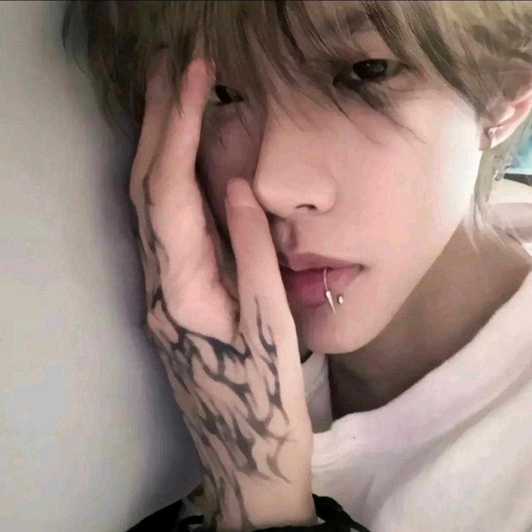 听风鱼.海绵🧽