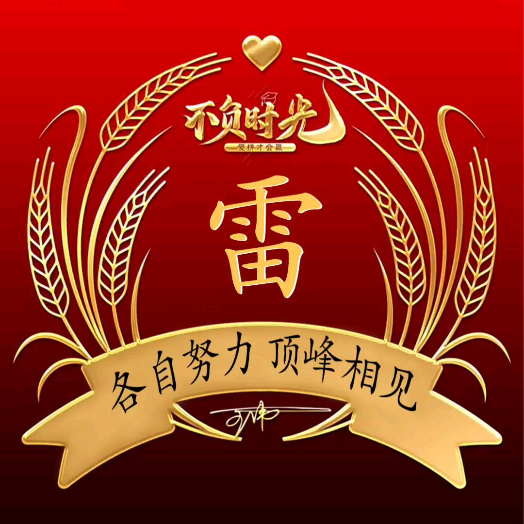 雷大姐