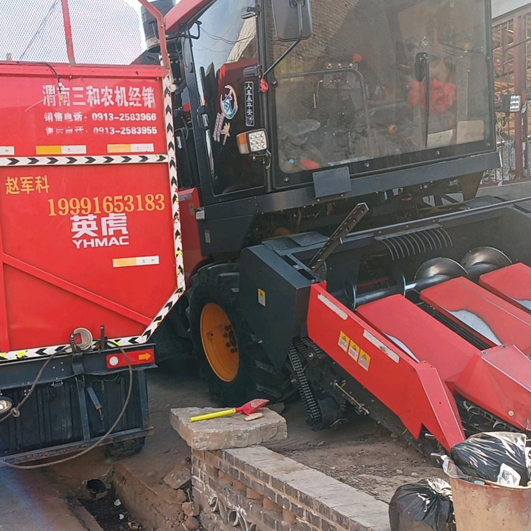 痛是经历，苦是人生