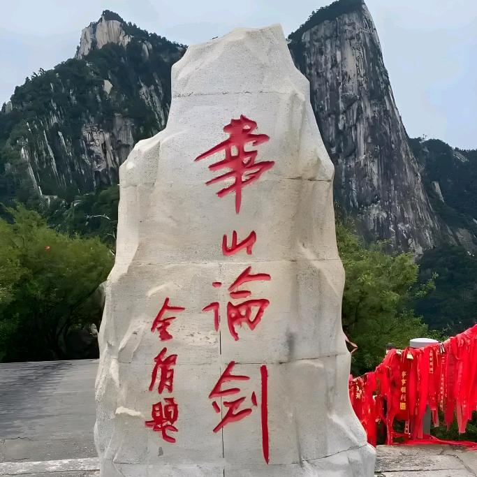 天鹅湖畔的飞鸟