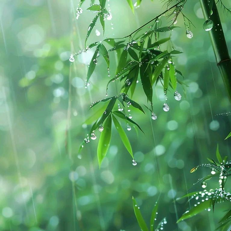 润竹