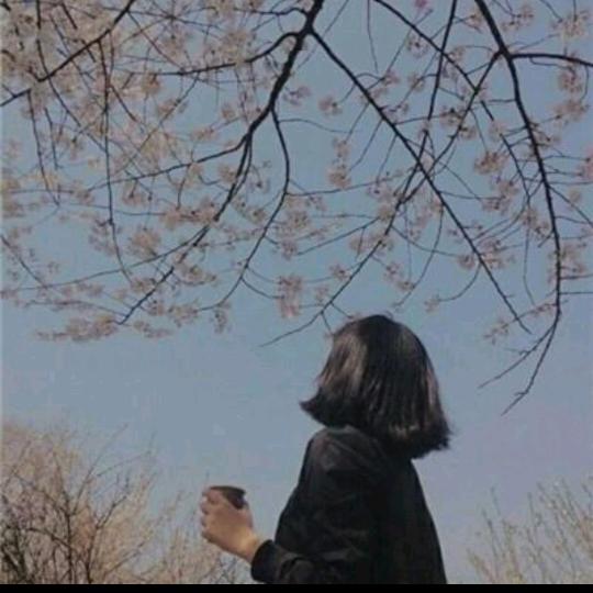 A七七