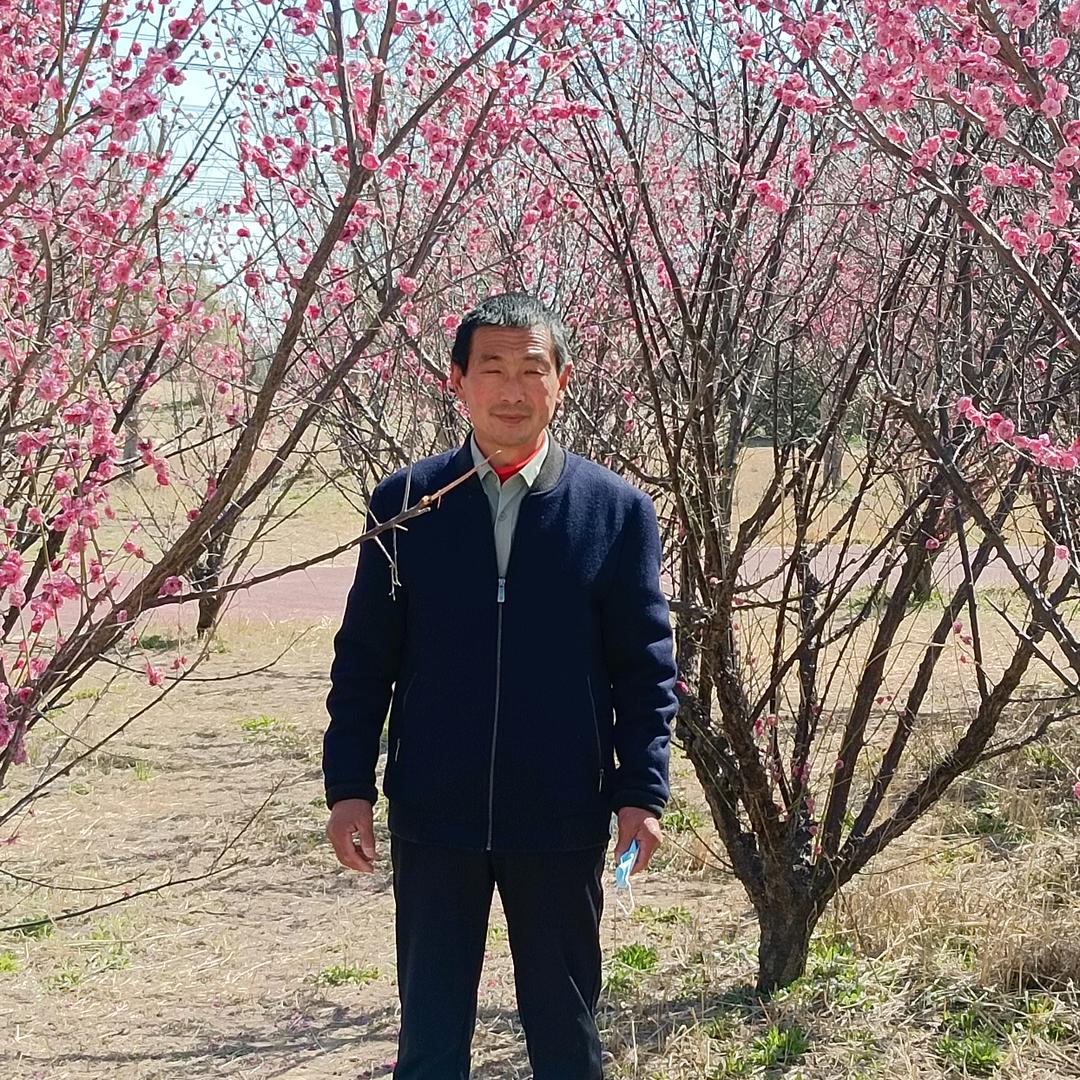 秦时明月君