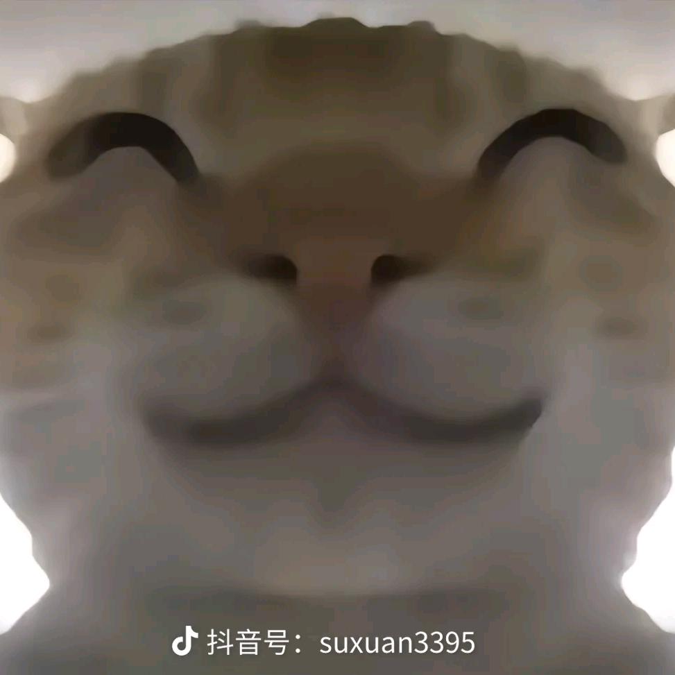 我真服了我真醉了我没招了我不行了俺不中了