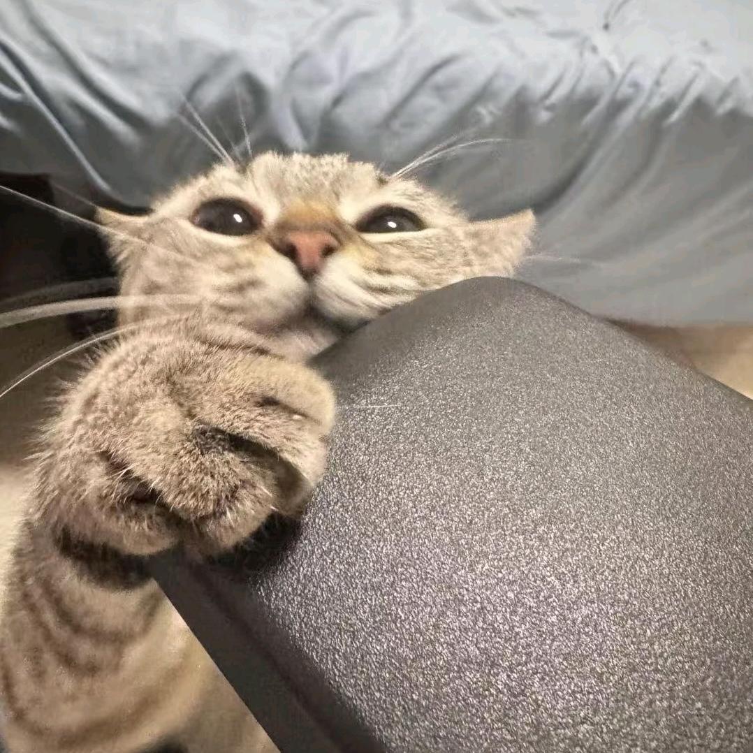 双黄蛋～