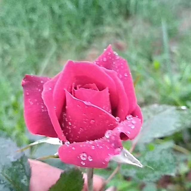 老顽童，永远在快乐路上、加油！