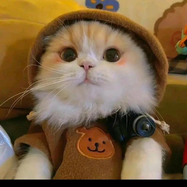 听说名字取的长会有蠢猪跟着念