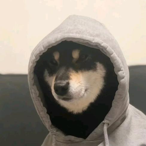 偷袈裟的黑熊精