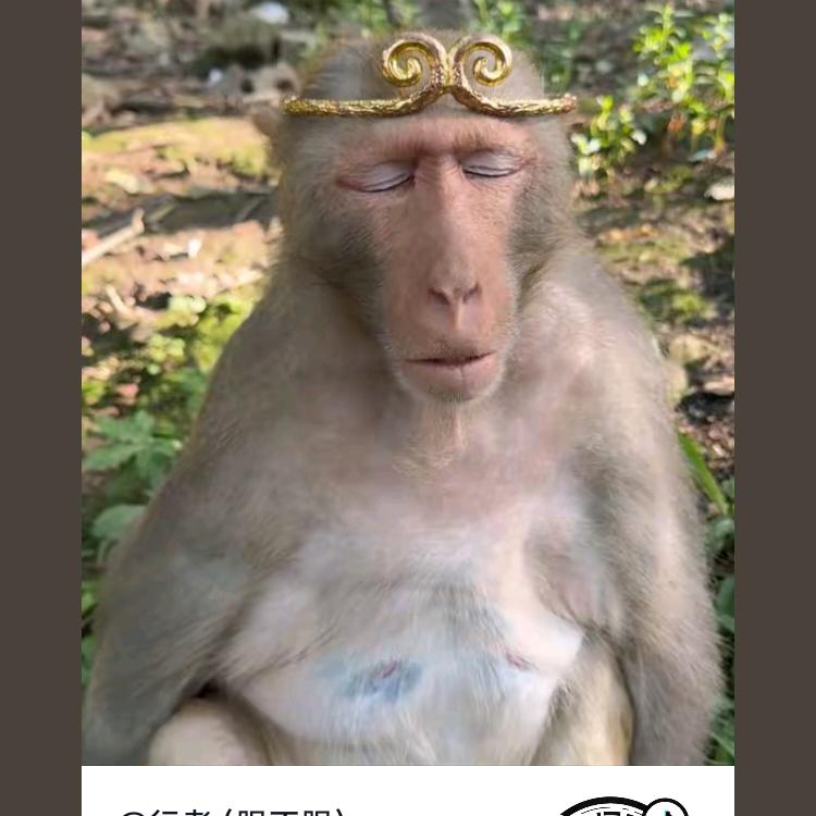 陌路人