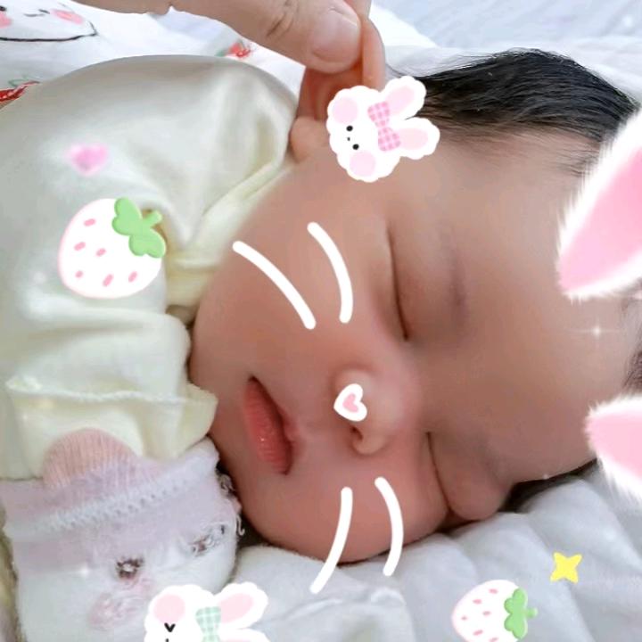 🐰小倔驴🐰头像