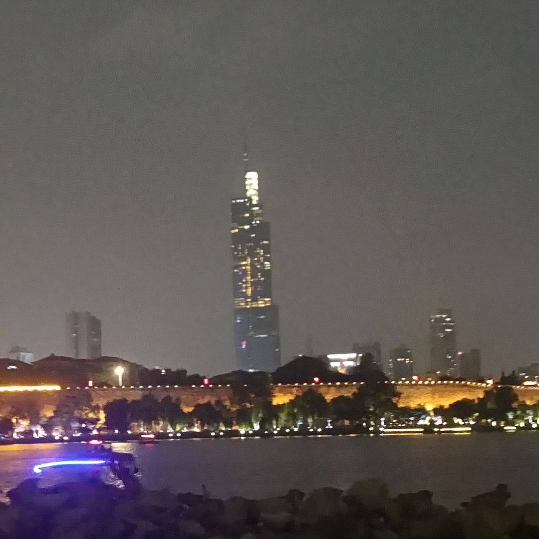 迷失的牦牛