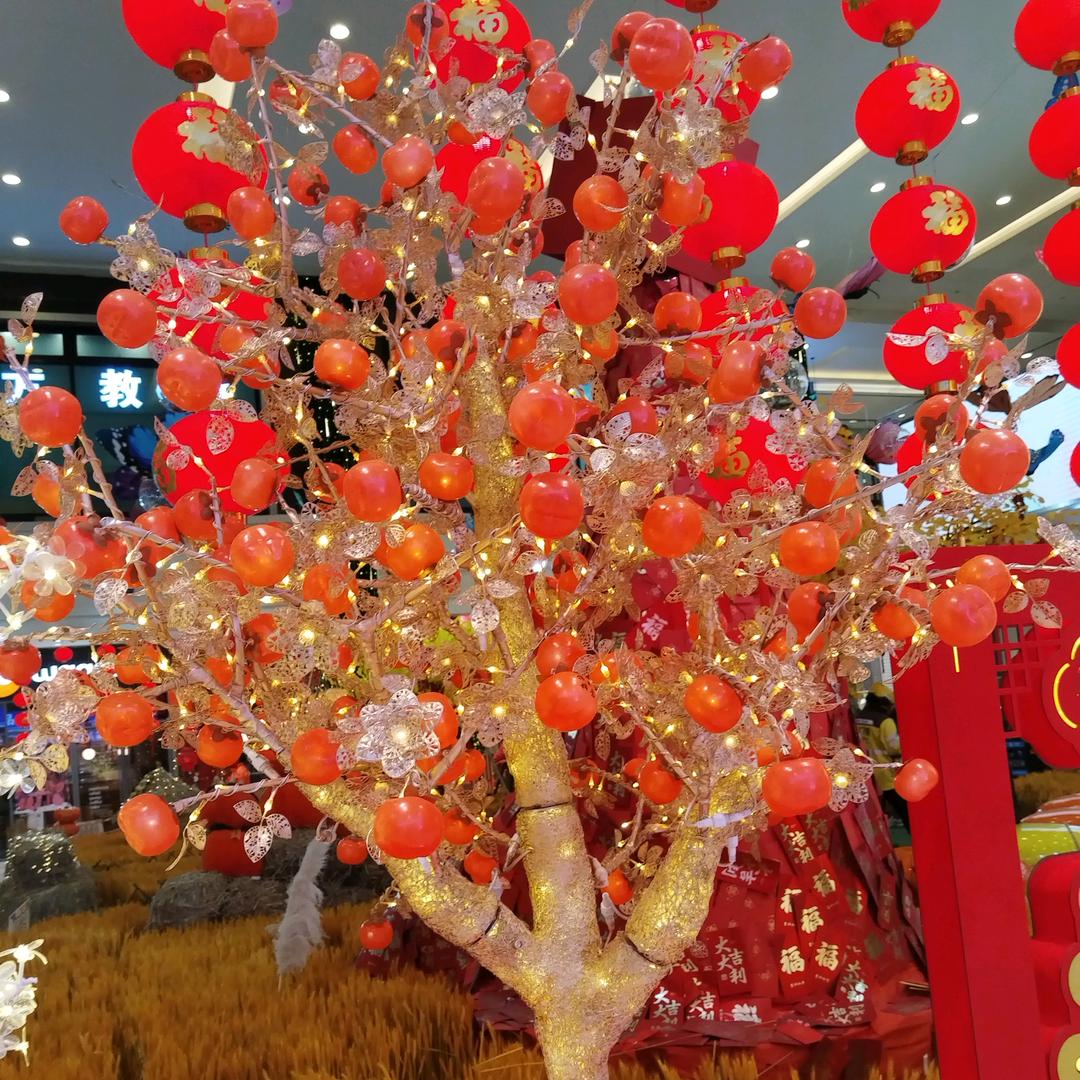 我是江西鹰潭。我姓郑。