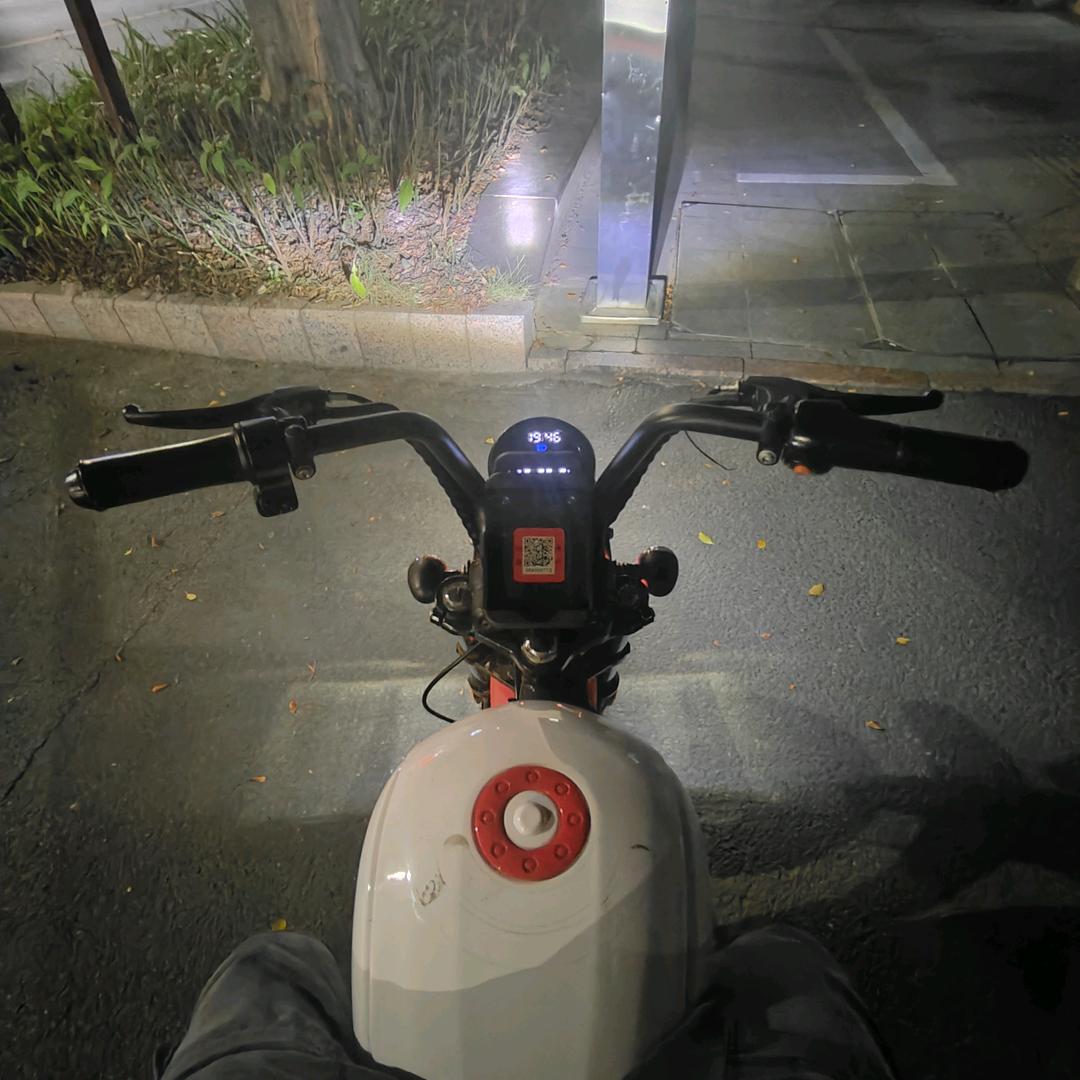又到南泥湾