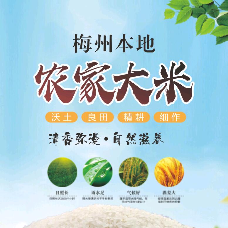 小千里马