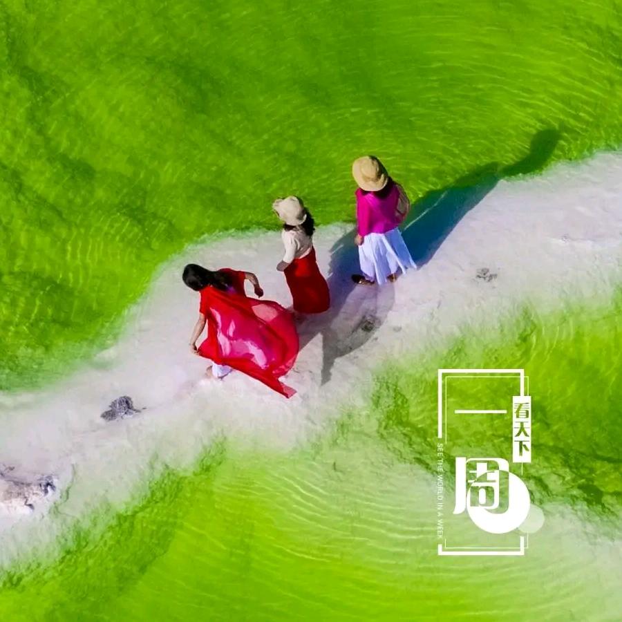 爱你的人自然爱你