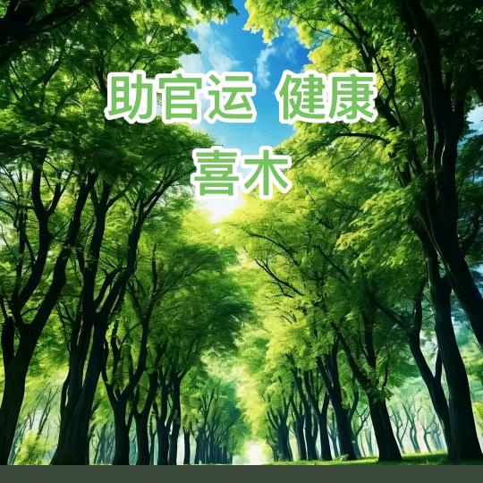 聆聴伱の心殸