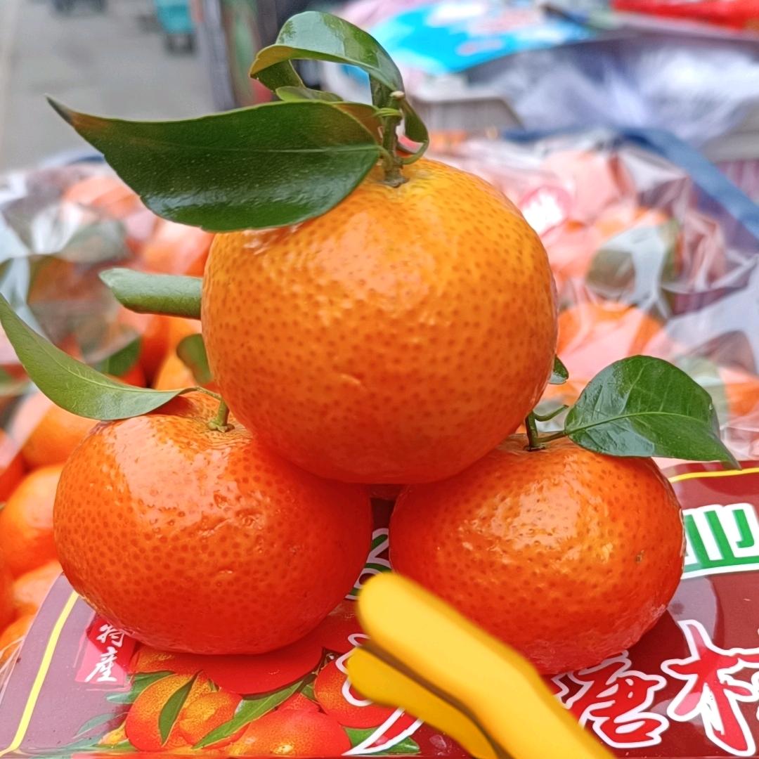 家有四宝贝😁