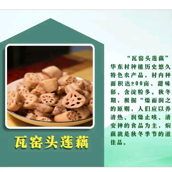 广东翁源排山竹 莲藕 三华李直销
