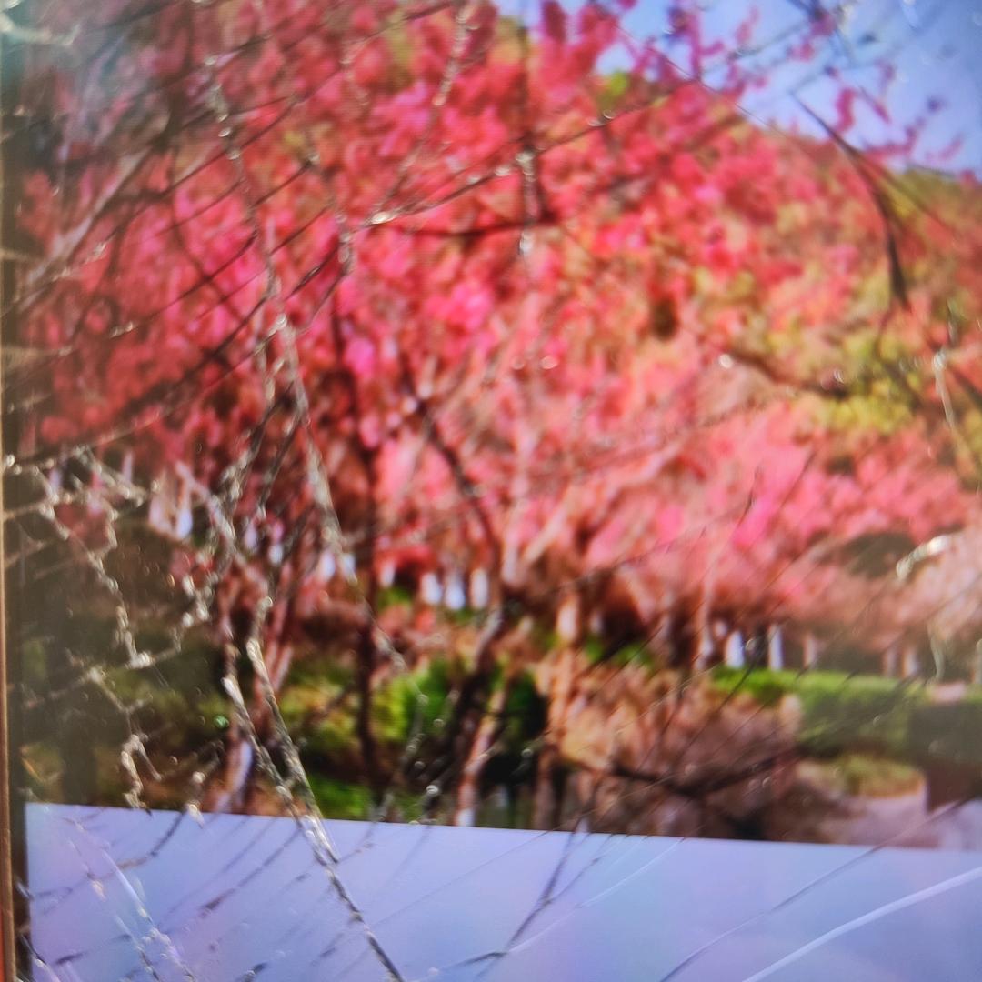 崔家二姐