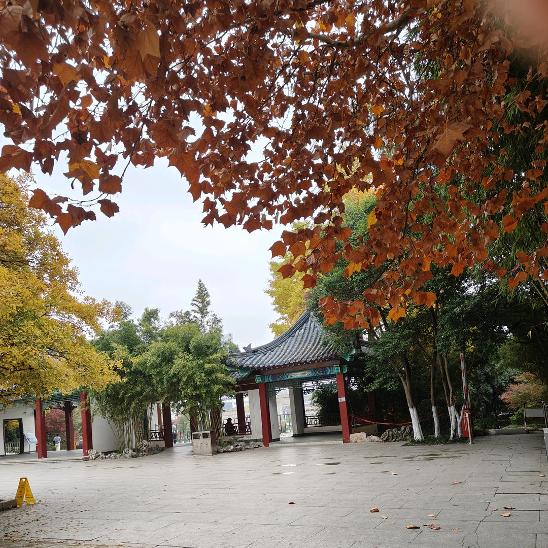 王者的生活(互关涨粉)