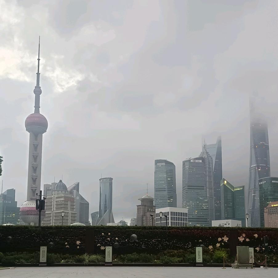 梅小猪🐷🐷🐷