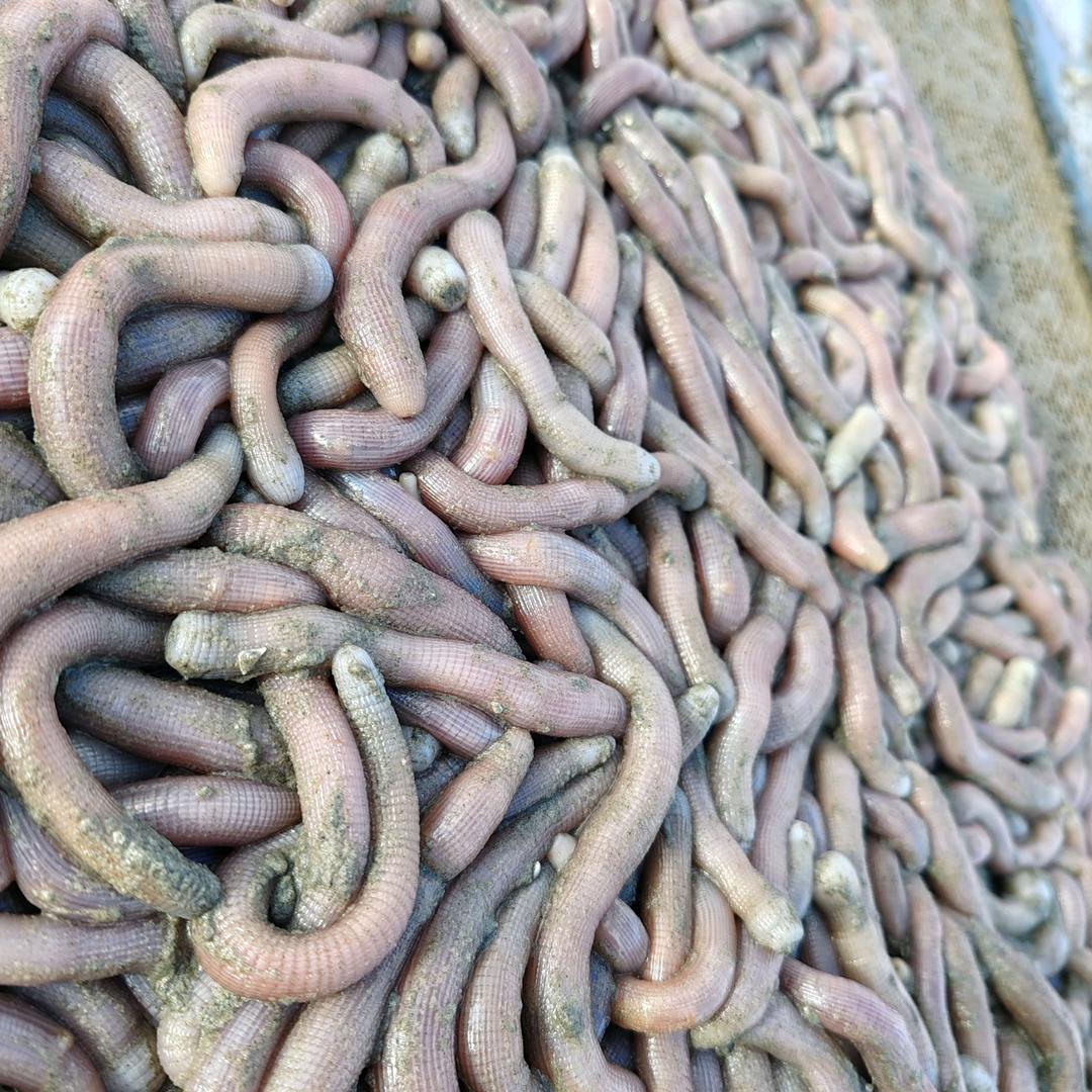 文秀海鲜铺