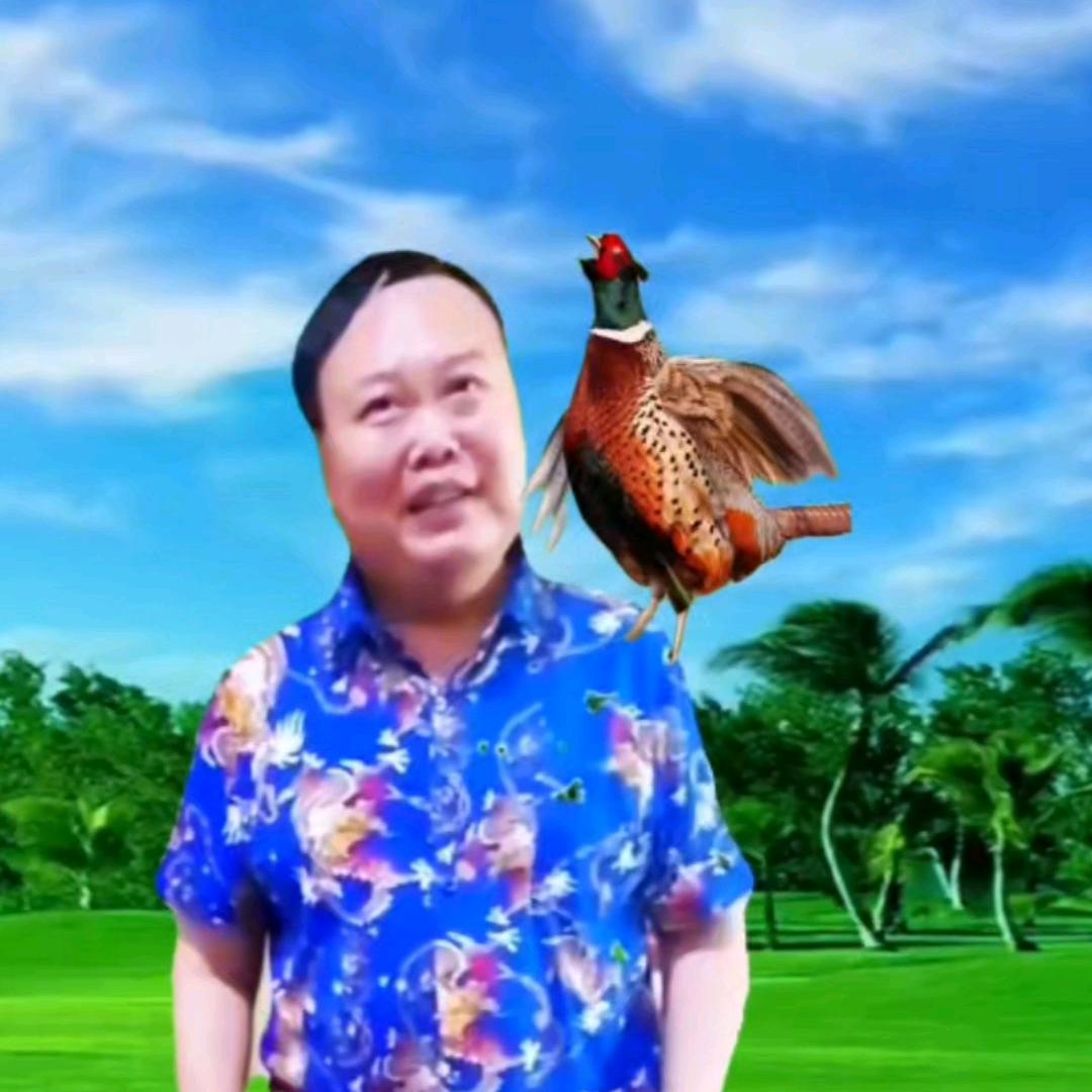 ❤️文氏在线💚
