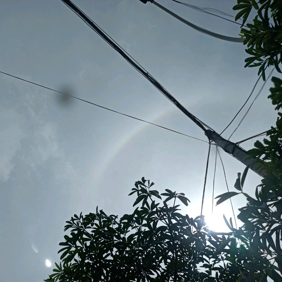 ˃ʍ˂像风一样😇