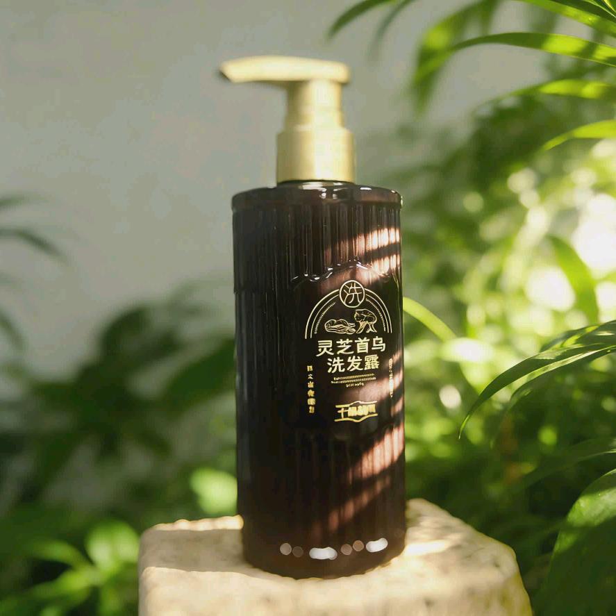 十味梳乌（草本养发）品牌方