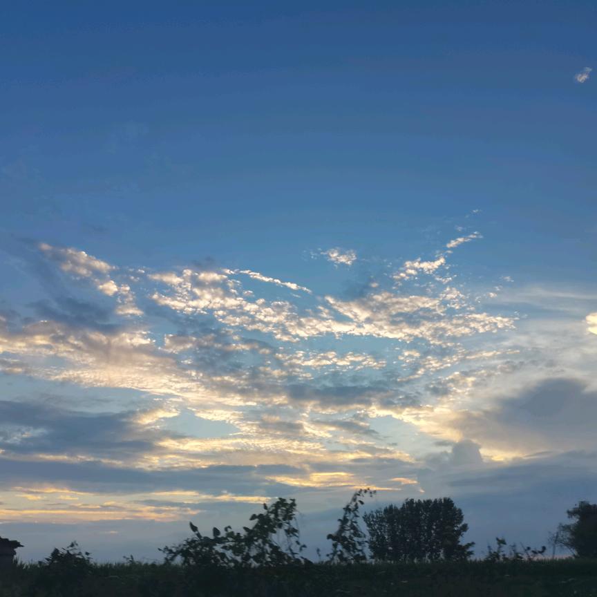 莓莉老板娘.的头像