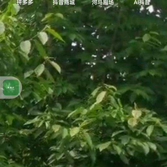 岳哥