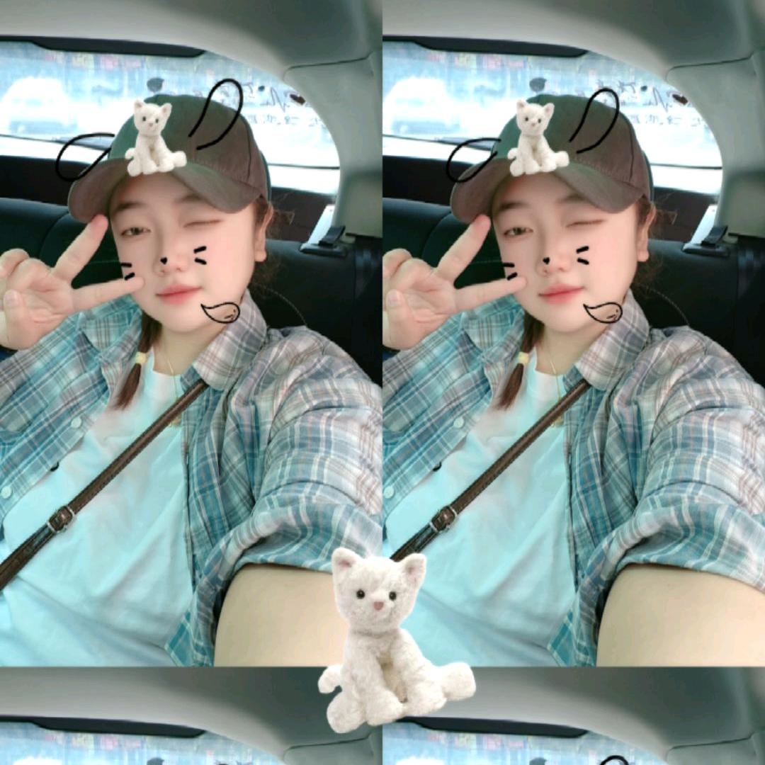 ¹只眠羊🐑