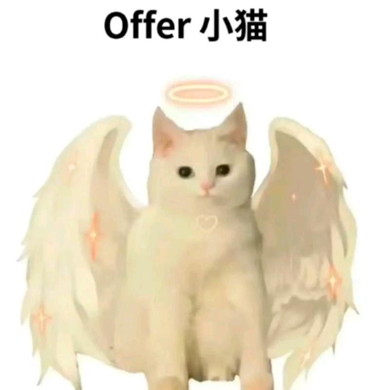 hr小猫（岗位表看我简介
