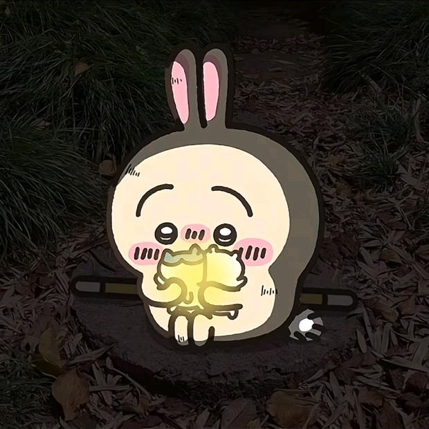 糯米.