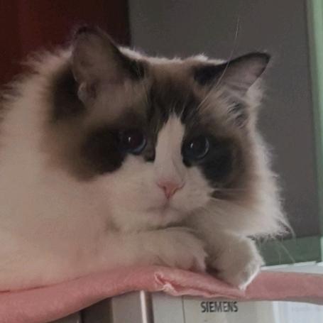 可愛い赤ちゃん泣くよ？