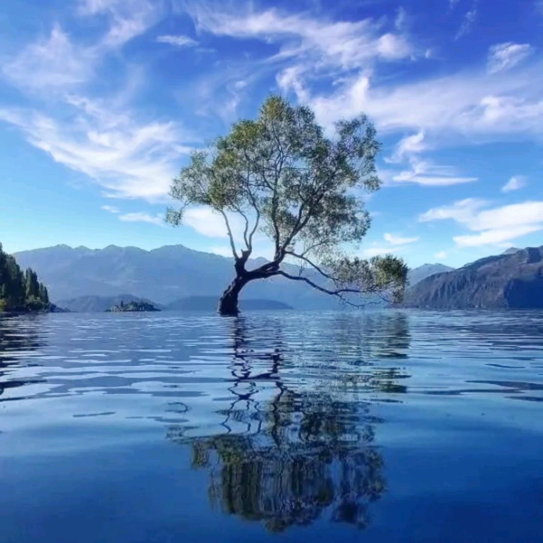 浅海深蓝