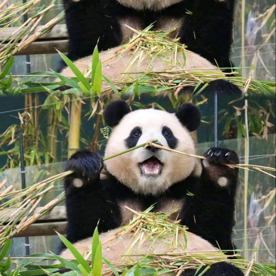 所得所不得，皆不如心安理得